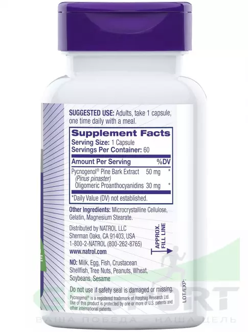 Антиоксиданты Natrol Pycnogenol 60 капсул