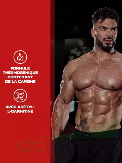 Жиросжигатель Scitec Nutrition Turbo Ripper 100 капсул Жиросжигатель Scitec Nutrition Turbo Ripper 100 капсул