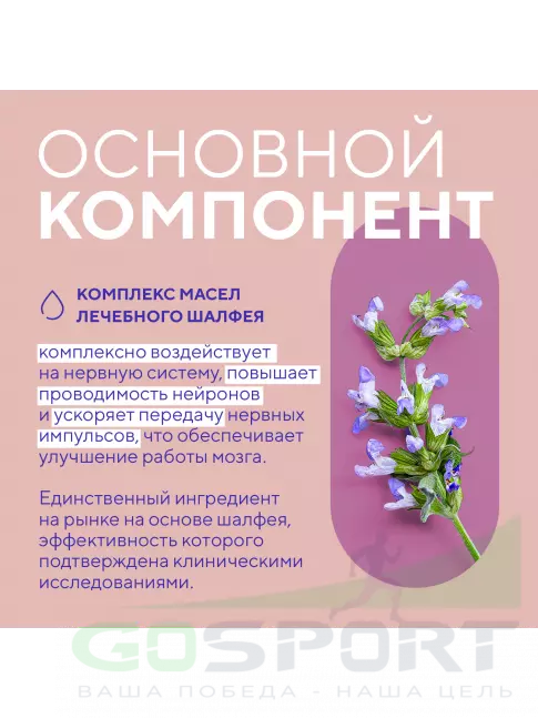 Концентрации внимания Академия-Т Когни Буст 60 капсул Концентрации внимания Академия-Т Когни Буст 60 капсул