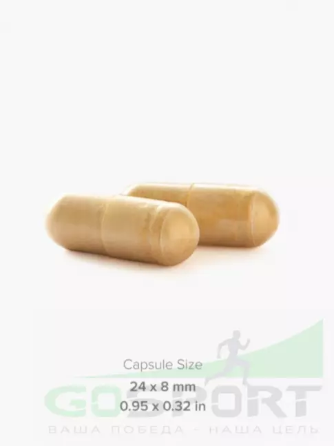 Для иммунитета MAXLER Turmeric Curcumin with Bioperine 90 веган капсул Для иммунитета MAXLER Turmeric Curcumin with Bioperine 90 веган капсул