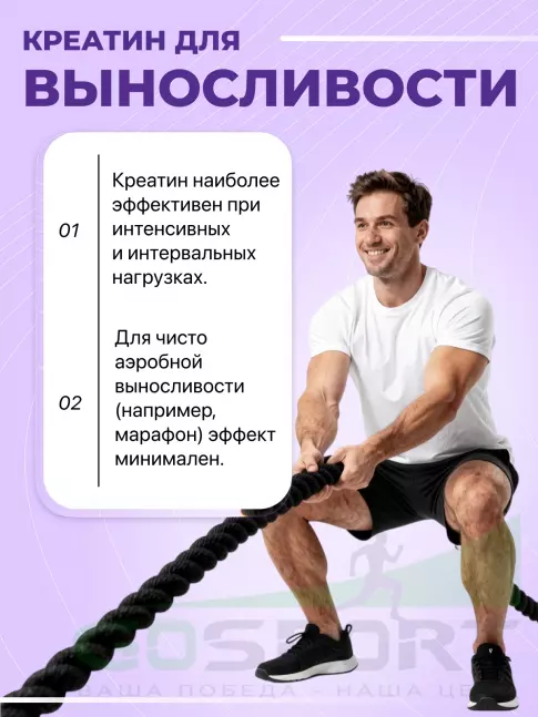 Микронизированный креатин Ultimate Nutrition 100% Micronized Creatine Monohydrate 300 г Микронизированный креатин Ultimate Nutrition 100% Micronized Creatine Monohydrate 300 г