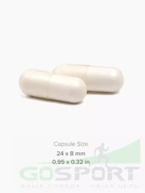 Креатин моногидрат MAXLER Creatine Caps 1000 100 капсул Креатин моногидрат MAXLER Creatine Caps 1000 100 капсул