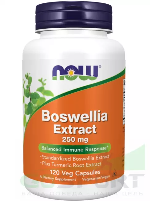 Экстракты NOW Foods Boswellia Extract - Экстракт босвелии 250 мг 120 капсул