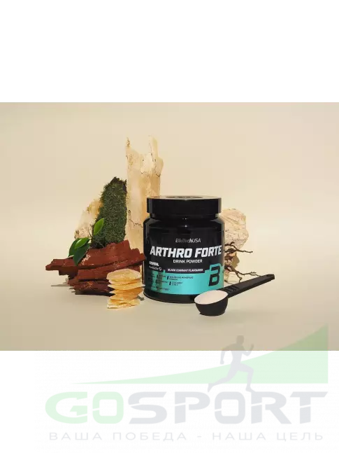 Комплекс хондропротекторов BioTechUSA Arthro Forte 340 г, Черная смородина Комплекс хондропротекторов BioTechUSA Arthro Forte 340 г, Черная смородина