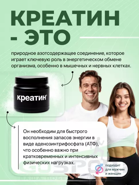 Микронизированный креатин Optimum Nutrition Creatine Micronized Powder 300 г, Натуральный Микронизированный креатин Optimum Nutrition Creatine Micronized Powder 300 г, Натуральный