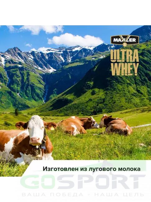 Сывороточный протеин MAXLER Ultra Whey 450 г, Ванильное мороженое Сывороточный протеин MAXLER Ultra Whey 450 г, Ванильное мороженое