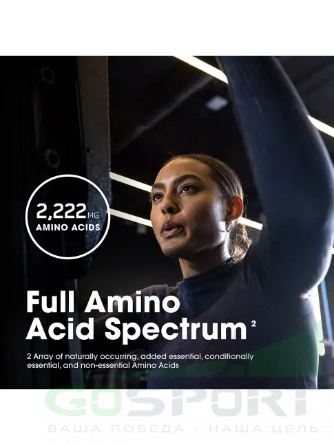 Аминокислоты Optimum Nutrition Superior Amino 2222 160 таблеток Аминокислоты Optimum Nutrition Superior Amino 2222 160 таблеток