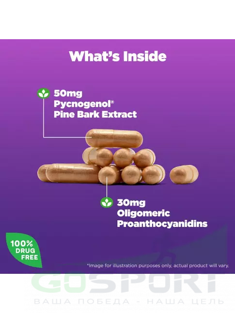 Антиоксиданты Natrol Pycnogenol 60 капсул