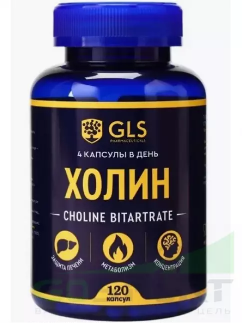 Антиоксиданты GLS pharmaceuticals Холин (холина битартрат) 120 капсул Антиоксиданты GLS pharmaceuticals Холин (холина битартрат) 120 капсул