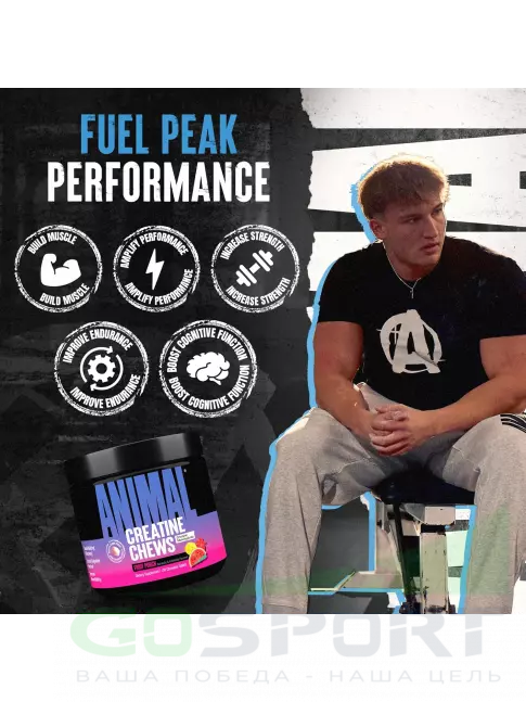 Микронизированный креатин UNIVERSAL NUTRITION Animal Creatine Chews 5000 mg 120 таблеток, Фруктовый пунш Микронизированный креатин UNIVERSAL NUTRITION Animal Creatine Chews 5000 mg 120 таблеток, Фруктовый пунш