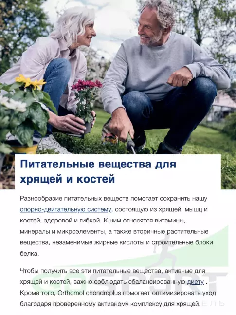 Комплекс хондропротекторов Orthomol ArthroPlus курс 30 дней Комплекс хондропротекторов Orthomol ArthroPlus курс 30 дней