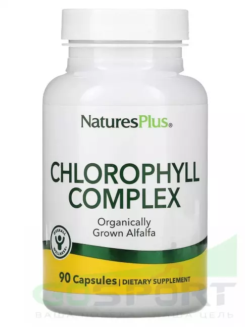 Антиоксиданты NaturesPlus Chlorophyll Complex 600 mg 90 капсул