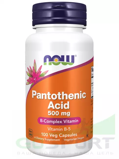 Витамины группы B NOW Foods Pantothenic Acid 500 mg Vitamin B-5 100 веган капсул