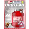 100% Whey Protein Professional