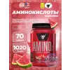 Amino-X 2:1:1