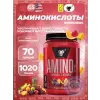 Amino-X 2:1:1
