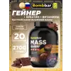 Mass Gainer