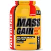 MASS GAIN