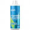 L-CARNITINE-CONCENTRATE