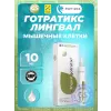Готратикс (Gotratix) лингвал