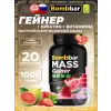 Mass Gainer