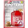 100% Whey Protein Professional