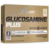 GLUCOSAMINE PLUS