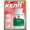 Kelp