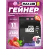 Special Mass Gainer