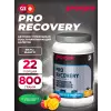 PRO RECOVERY