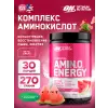 Essential Amino Energy