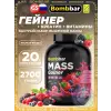 Mass Gainer