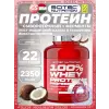 100% Whey Protein Professional