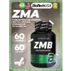 ZMB