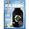 CASEIN PROTEIN