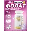 Folic Acid Bioactive Folate
