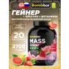 Mass Gainer