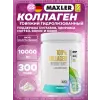 100% Collagen Hydrolysate