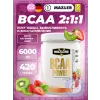 BCAA Powder 6000 mg 2:1:1 Sugar Free EU
