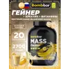 Mass Gainer