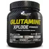 GLUTAMINE XPLODE POWDER