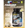 Mass Gainer