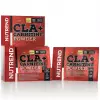 CLA + CARNITINE POWDER